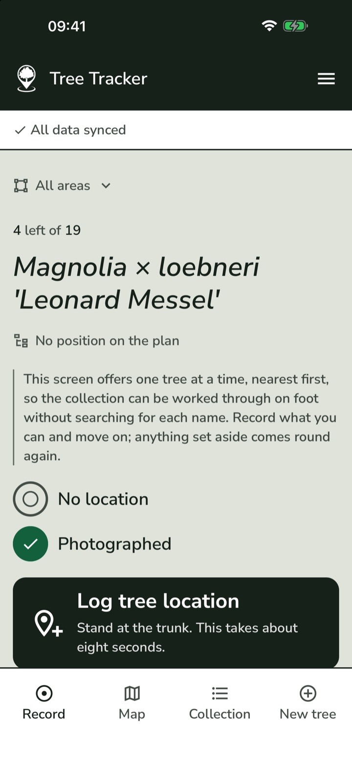The recording screen: the next tree offered, how many are left, what it still needs, and one large button to log its location.