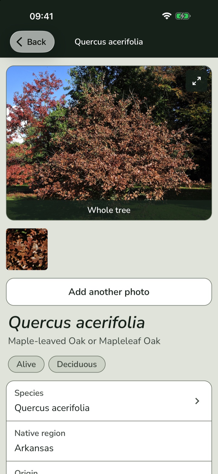 A tree's page in the app: a large photograph labelled Whole tree, its Latin and common names, and its native region.
